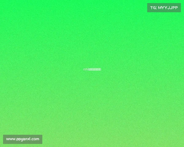 nhl常规赛是什么意思