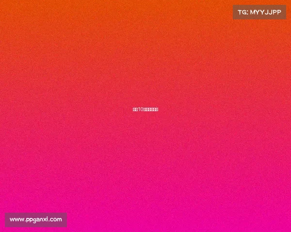 女排10月赛事时间表